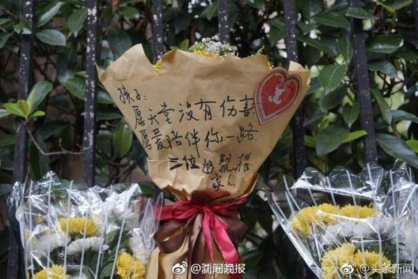 掘金高管谈约基奇拒绝续约：完全不担心 从他的角度这是明智选择